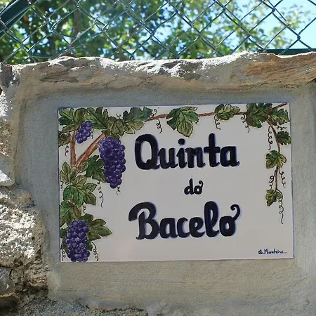 Country house Quinta Do Bacelo, Casa Completa, 4 Quartos E Piscina