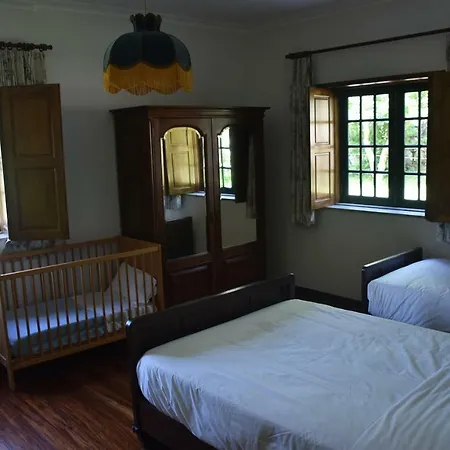 Quinta Do Bacelo, Casa Completa, 4 Quartos E Piscina