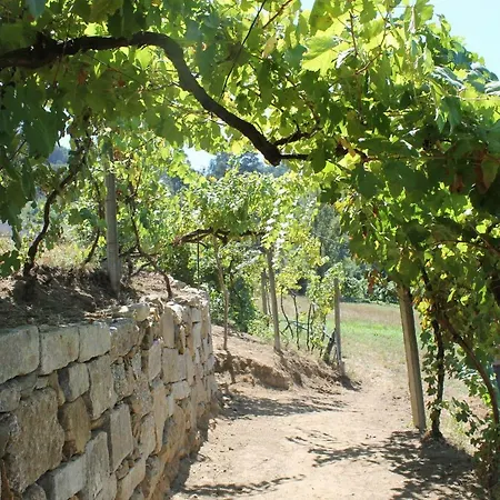 Quinta Do Bacelo, Casa Completa, 4 Quartos E Piscina *