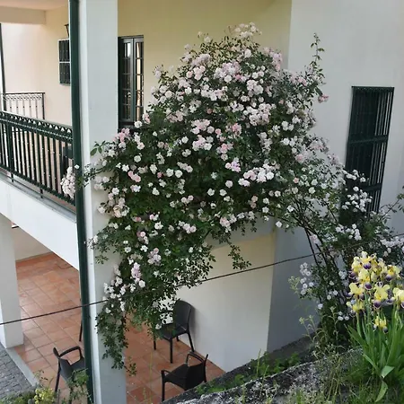 Quinta Do Bacelo, Casa Completa, 4 Quartos E Piscina Country house Braga